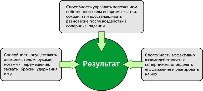 Физические и интеллектуальные способности, необходимые спортсменам для достижения результатов в самбо