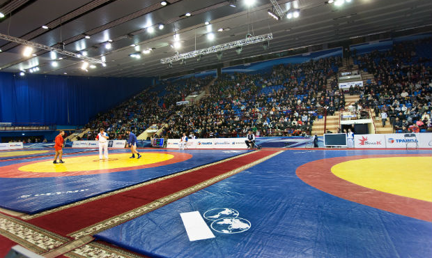 Vladimir Yaprintsev. Sambo Tournament on the Prizes of the President of Republic of Belarus 2014 [VIDEO]