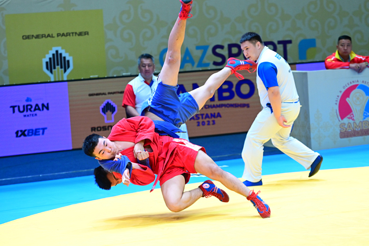 PRO-SAMBO: Education on the Rules. Release 2